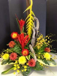 Stylized Tropical Arrangement with sticks and woods