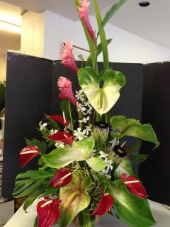 Tropical Stylized Arrangement