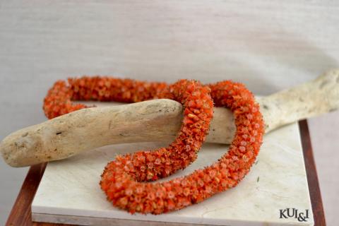 Orange Cigar Lei