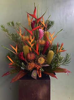 Mixed Tropical Arrangment