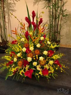 Tropical Sympathy Arrangement