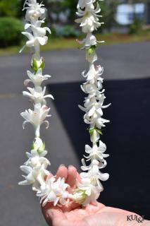 White Rose & Tuberose Lei