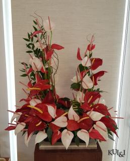 Anthurium Urn Riser