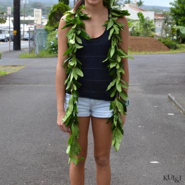 Hawaiian Royal Big Island Maile Lei