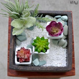 Silk Succulent Garden (2)