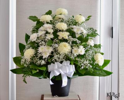 White Sympathy Arrangement