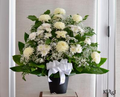 White Sympathy Arrangement