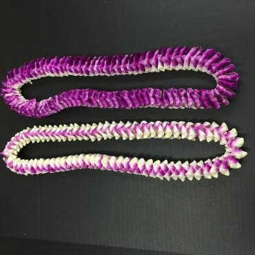 Eden Orchid Round Lei