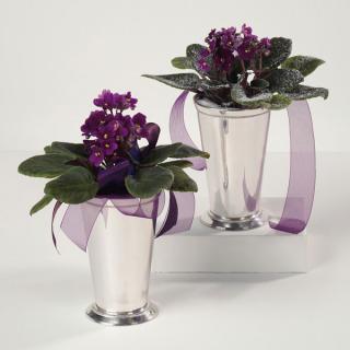 Violets in Silver Vase