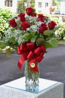 #9 - Our Gorgeous Dozen Roses