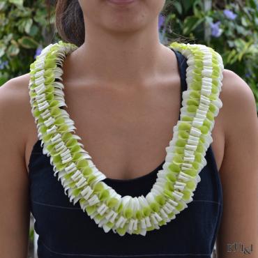 Flat Orchid Lei (Green & White)