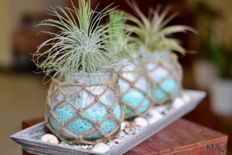 Air Plant Centerpiece 6