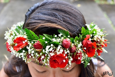 Red Rose Haku