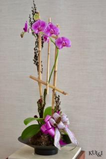 Purple Orchid Planter