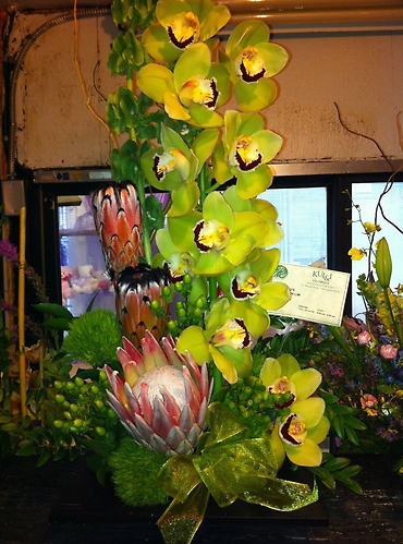 Cymbidiums and protea arr.