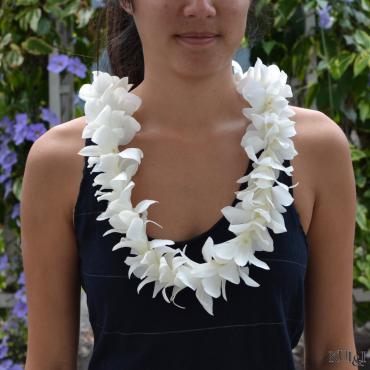 Single Orchid Lei (White)