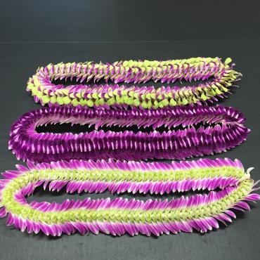 Specialty Flat Orchid Lei