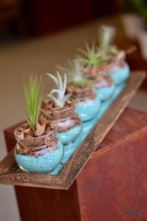 Air Plant Centerpiece 4