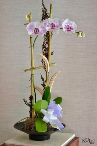White & Purple Orchid Planter