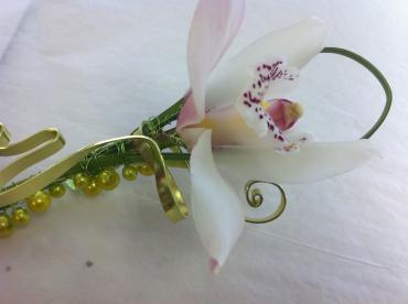 Cymbidium Orchid Bout.