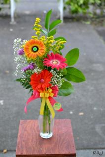 Gerber Daisy Budvase