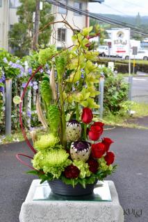Stunning Ikebana Protea Arrangement